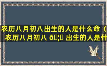 农历八月初八出生的人是什么命（农历八月初八 🦁 出生的人是什么 🦢 命金木水火土）